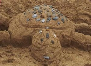 Tortuga de arena. Juegos de niños en la playa, con elementos naturales.