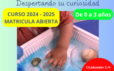 Curso 2024 – 2025 – Matrícula abierta